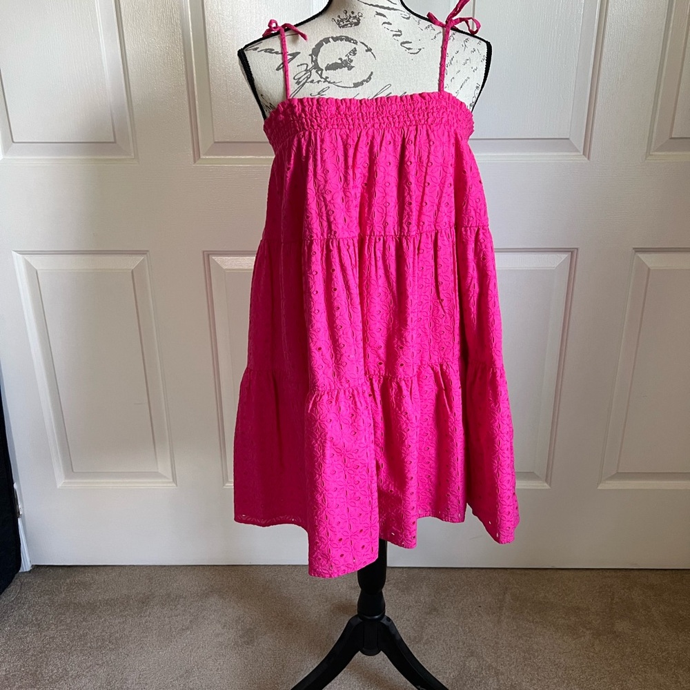 Crown and Ivy Pink Eyelet Dress